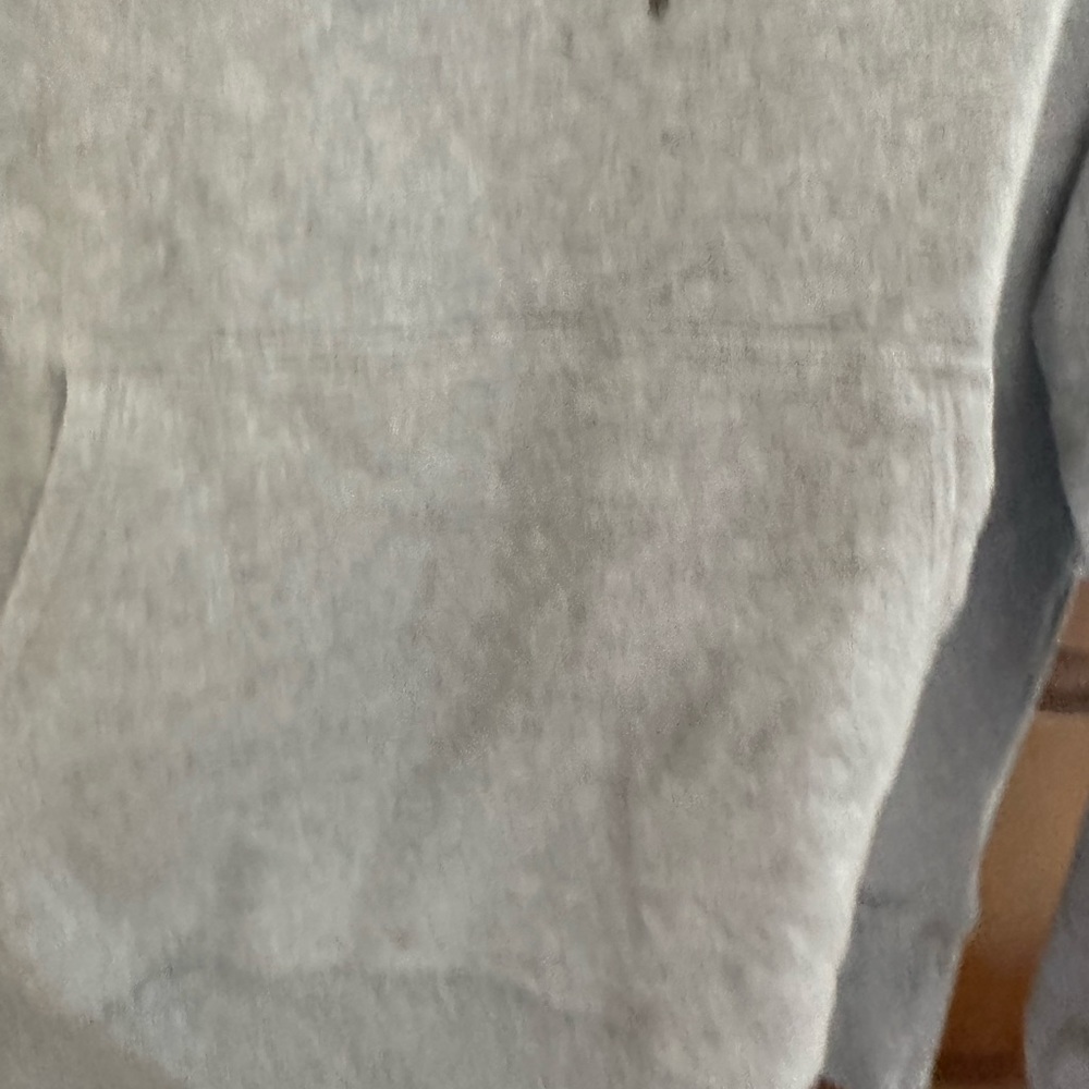 Champion Sweatshirt Hoodie Men’s Medium - Picture 4 of 9